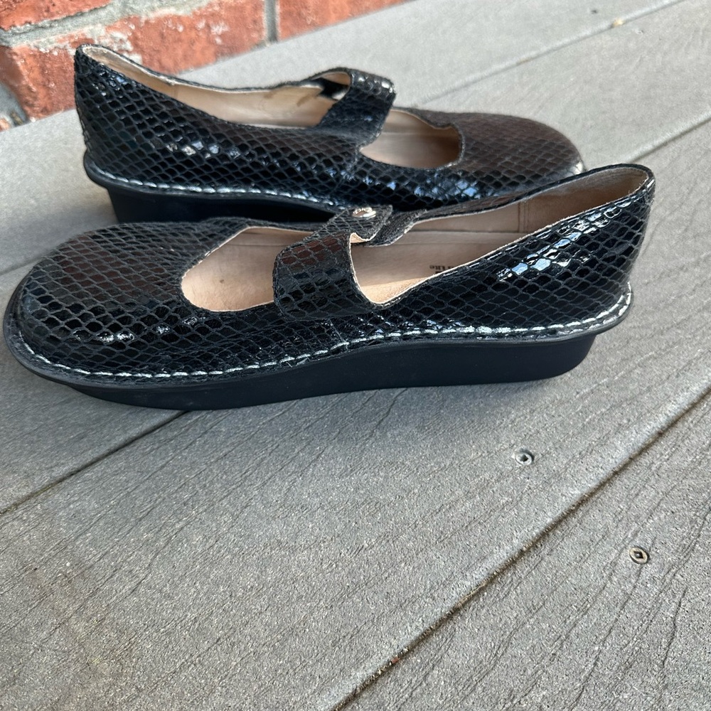 EUC Alegria Paloma collect in black snake - Picture 6 of 9